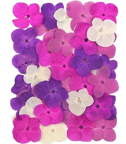 Pressed flowers mixed - flowers,,