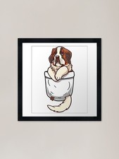Pocket St Bernard Puppy Framed