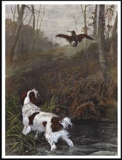 WELSH SPRINGER SPANIEL VINTAGE
