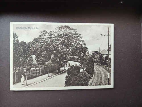 Vintage postcard - postcard,