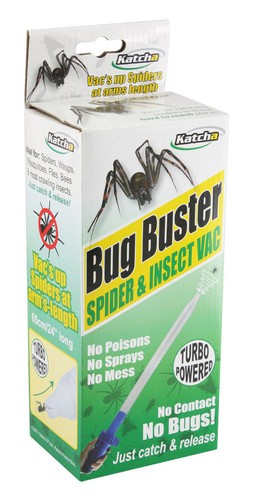 Bug buster spider - buster, insect
