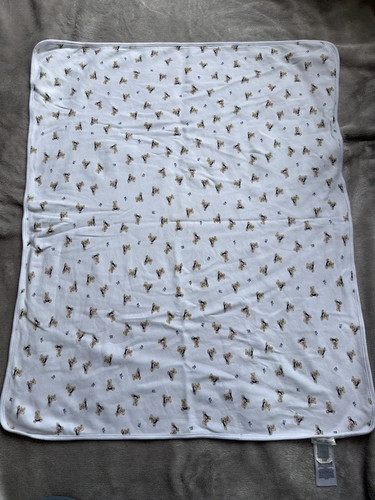 Ralph lauren baby blanket - lauren, in