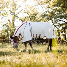 Horseware Rambo Optimo Sup Summer Sheet - Fly Rug