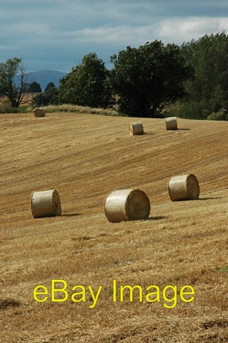 Photo 6x4 round straw - photo,