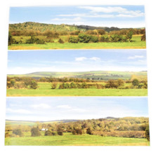 BACKGROUND BACKSCENE SCENERY -