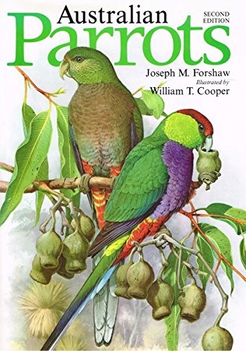 Australian parrots joseph - parrots, by