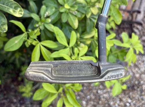 Ping dalehead anser - anser, left