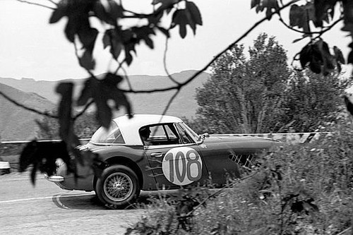 Timo makinen paul - timo,