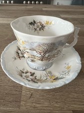 Rare Royal Albert Winter