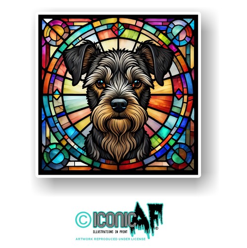 Large miniature schnauzer dog - large,