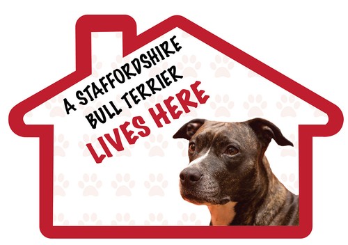 Staffy lives here vinyl dog - lives,