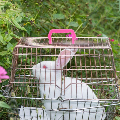 Pcs plastic cage handles - 20,
