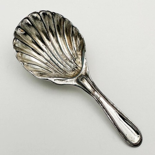 Rare shell caddy spoon old - rare,