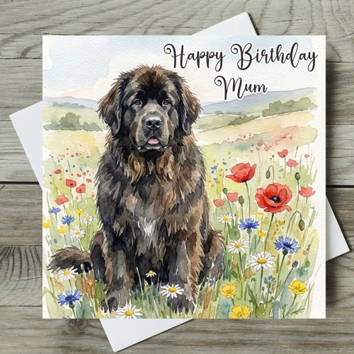 Newfoundland birthday card - newfoundland,