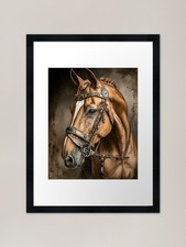 Handsome Thoroughbred Framed