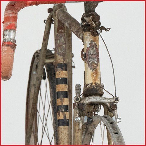 Pelà carpano pela - pelà, campagnolo