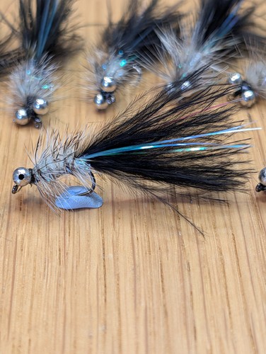 Fly fishing trout flies - fly,