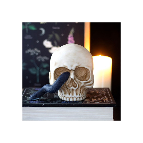 Skull ornament with snake - skull,