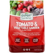Tomato and Vegetable Garden