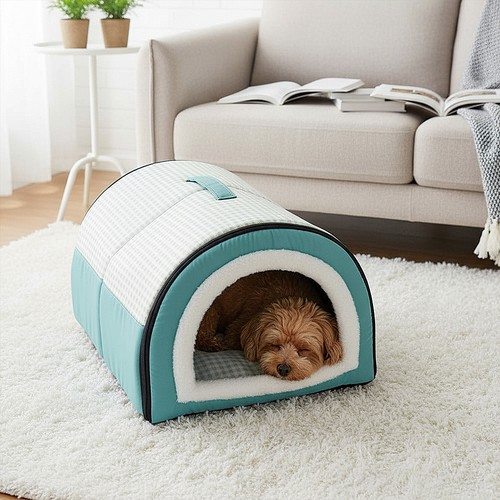 Pet cute cat - cat, warm