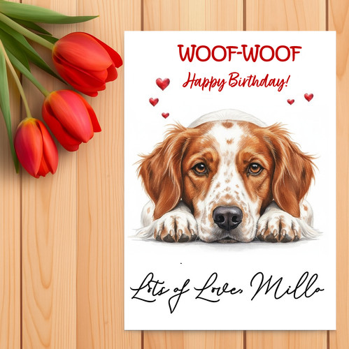 Personalised brittany spaniel - brittany,