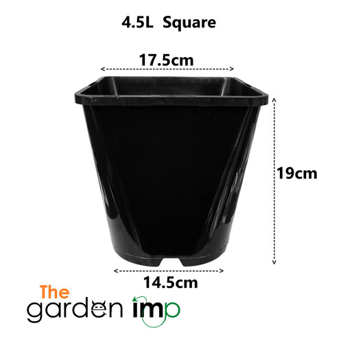 Square plant pots - plant,