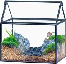 NCYP Black Small Glass