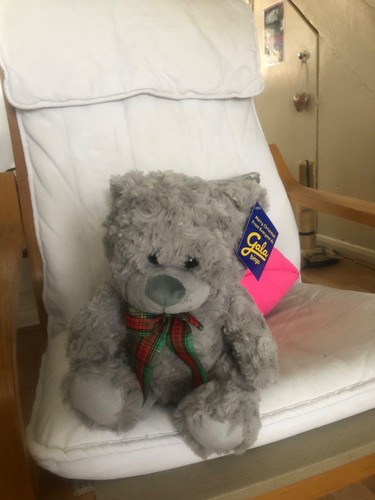 Gala bingo teddy - teddy, bear