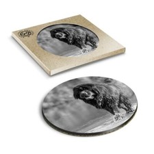 1 x Boxed Round Coasters - BW