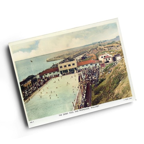 Print vintage cheshire - print,