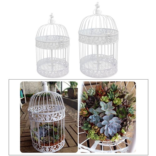 Bird cage hollow out - hollow,