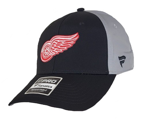 Detroit red wings - detroit,