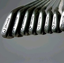 Spalding Molitor Golf Irons