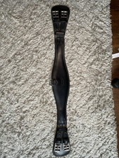 Prestige Italia Dressage /