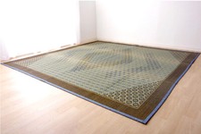 IKEHIKO Japanese rush grass