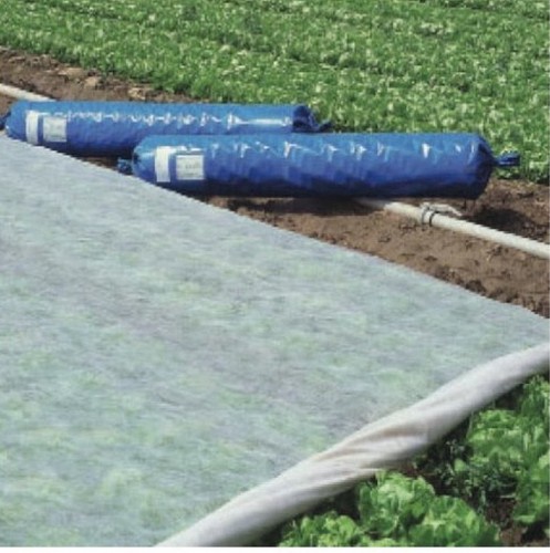 Frost protection fleece 2m - fleece, 3.2m