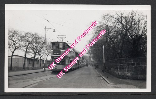 Small photograph showing - small,