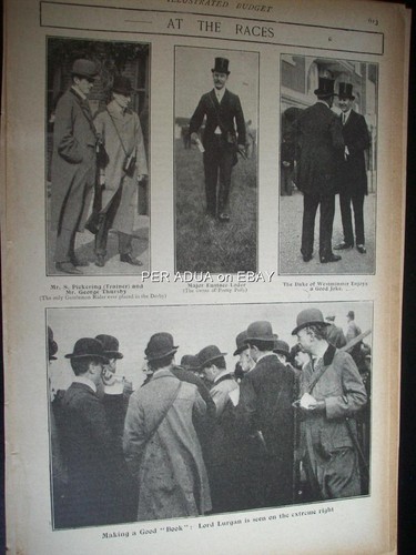 1904 horse racing - horse,