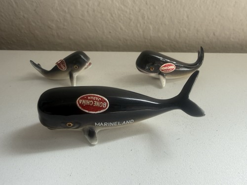 Vintage marineland whale - vintage,