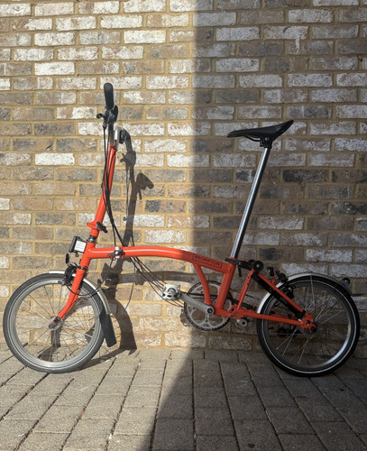 Brompton fire coral line - coral,
