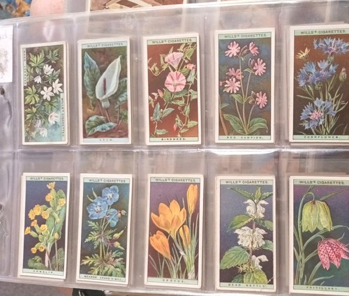 Wills cigarette cards wild - wills, cards: