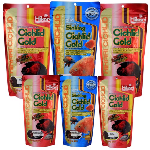 Hikari cichlid gold - hikari,
