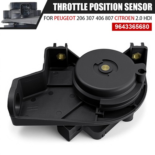 Throttle position sensor for - position,