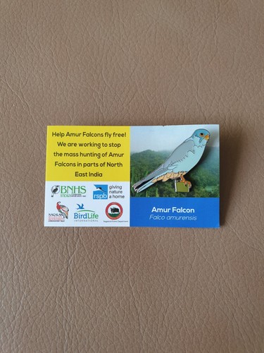 Rspb international amur falcon - international,