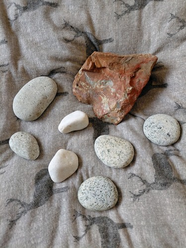 Reptile amphibian stones - , rocks