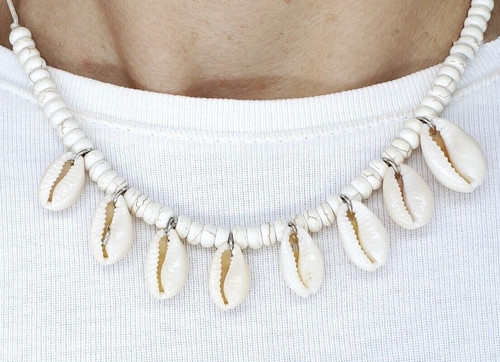 Colour cowrie shell - colour,