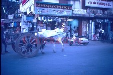 35mm Slide 1993 India street