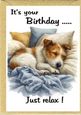 Jack Russell Terrier Dog