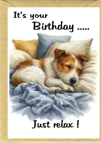 Jack russell terrier dog - russell,