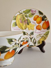 Royal Grafton Vintage Fine Bone China By Tams Porcelain Tea Cup&saucer